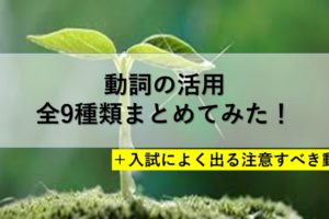 古文の形容詞まとめ 形容詞の活用を徹底的に解説してみた おやぶんの古文攻略塾